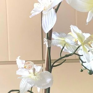 Meet your Posher, Amy juan